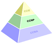 CCNP