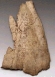 column20060904_s.jpg