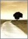 column20020331_s.jpg