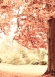 f_1109.jpg